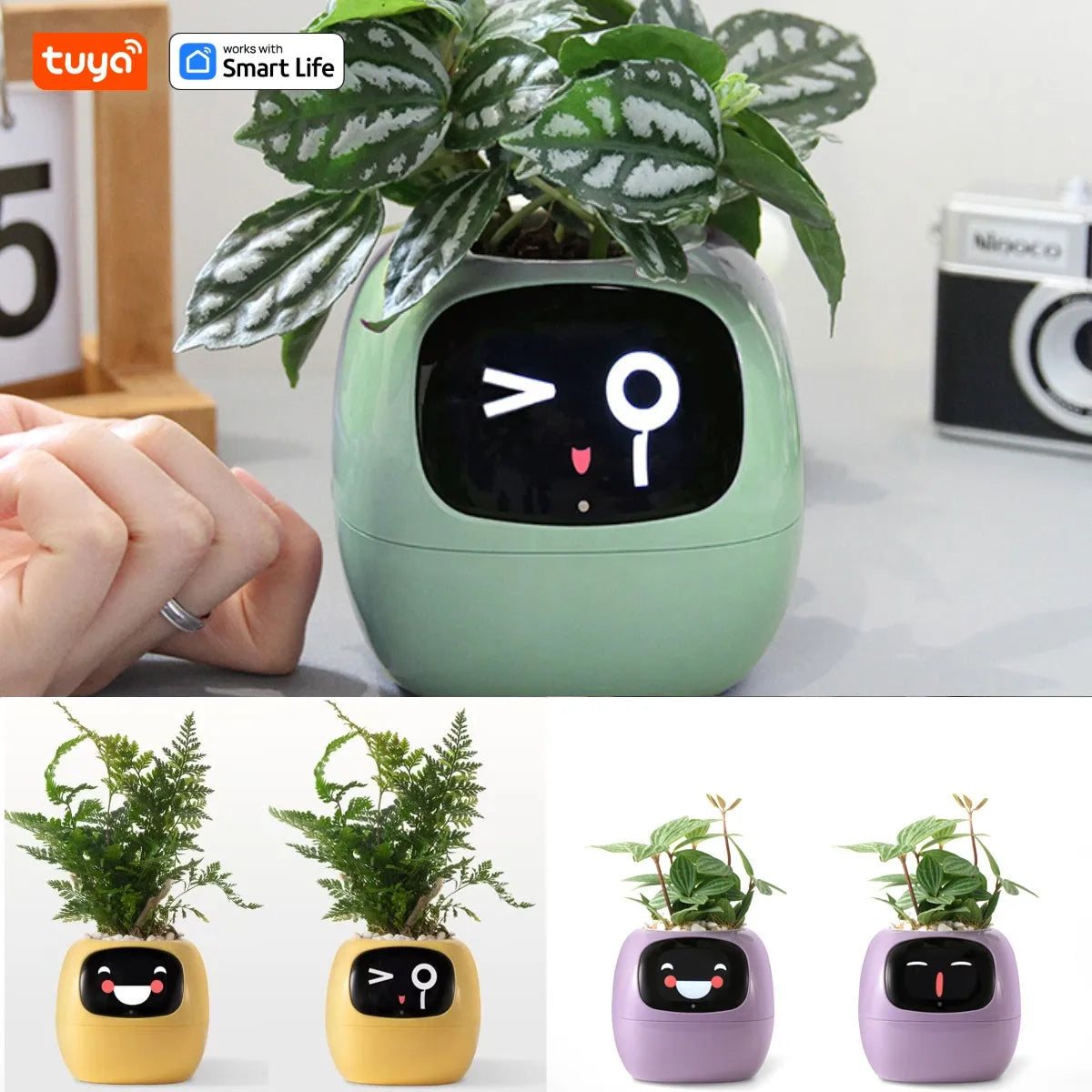 Maceta inteligente con expresiones interactivas Gadget para plantas con IA y sensores