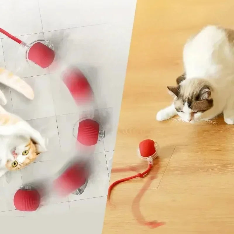 Pelota Interactiva para Gatos USB automática shoppium