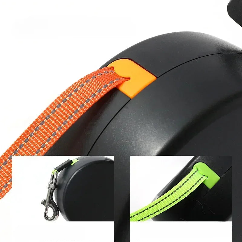 Correa Retráctil Doble para Perros - Linterna y Caja de Bolsas