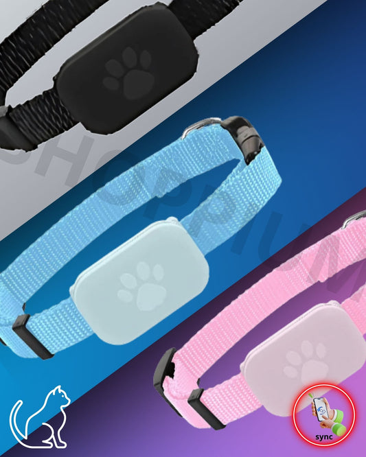 Collar GPS para Gatos - Localizador Inteligente